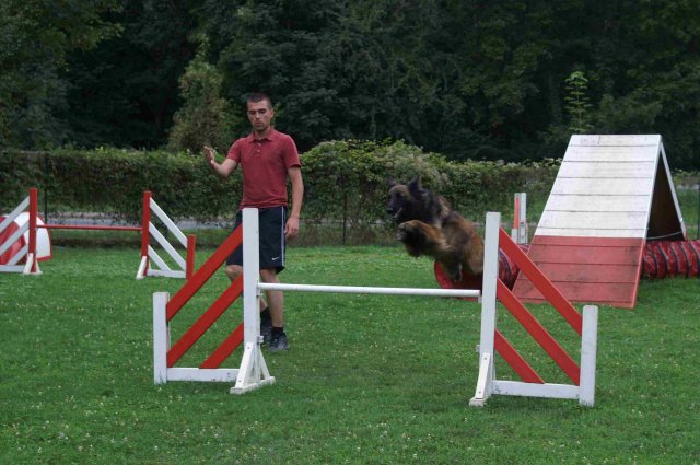 agility 2011-09